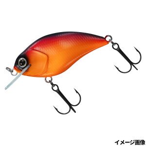 _C A[ XeB[Y XNGA 100 Xp[NIWy䂤pPbgz