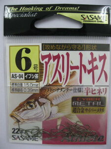 yiz ߐj AX[gLX AS-04 6 21{ y䂤pPbgz