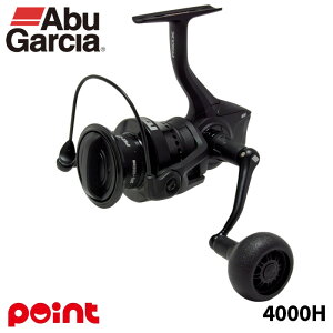 AuKVA XsjO[ 25 MAX SX SP(}bNX SX XsjO) 4000H