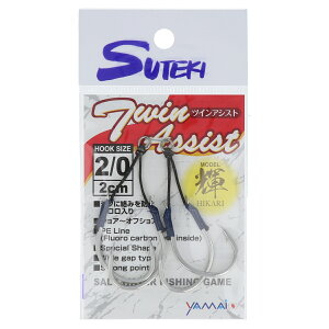 }C XeLj cCAVXg P TAH-2/0 2cm 2/0y䂤pPbgz