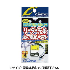 I[i[ [_[掅^ 2.5(Ch) TF-H1 36227y䂤pPbgz