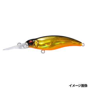 A[ VbfBOX R 55 GG KoXLNy䂤pPbgz