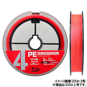 _C UVF PEfZT[×4+Si2 300m 2 CR(R[bh)y䂤pPbgz