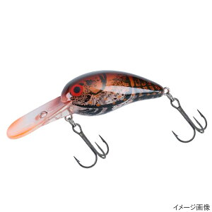 _C A[ ^Cj[Chs[ibc t@guEN[y䂤pPbgz