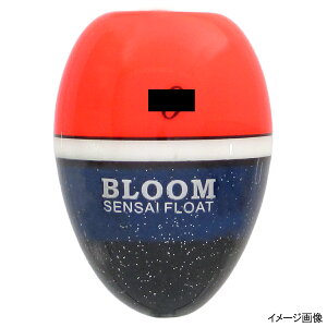 CK BLOOM 3