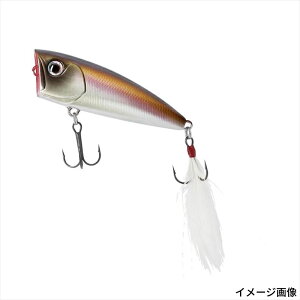 _C A[ XeB[Y |bp[ 60F RW JTMy䂤pPbgz