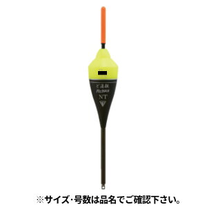 ތ ǉReMAX NT B CG[