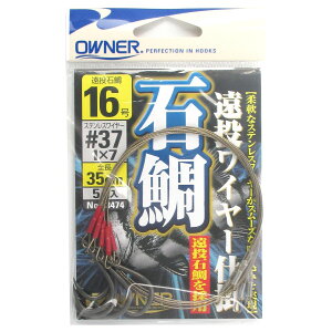 I[i[ Α⃏C[d| No.33474 16y䂤pPbgz