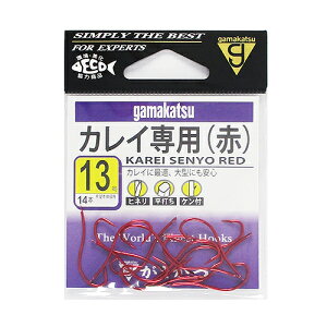 ܂ JCp 13 ԁy䂤pPbgz