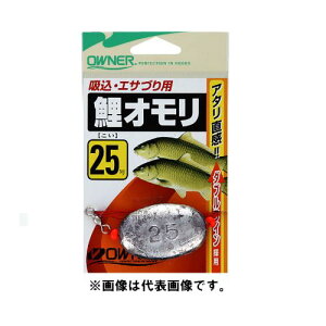 オーナー 鯉オモリ吸込仕掛15号