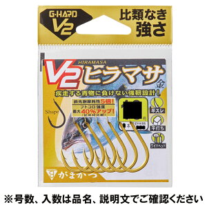 ܂ G-HARD V2 V2 q}T 13  68786y䂤pPbgz