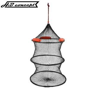 H.B RZvg z[XXJ 50cm 3i