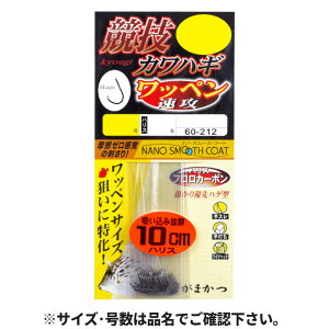 ܂ ZJnM byU t nX10cm 2.5-nX2 60-212y䂤pPbgz