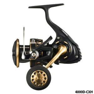 BG SW 4000D-CXH