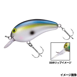 _C A[ s[ibc DDR ZNV[Vbhy䂤pPbgz