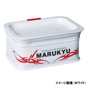 ���i�摜