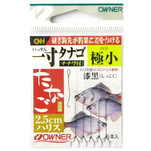 I[i[ ꐡ^iS2.5cmnX(``t) ɏy䂤pPbgz