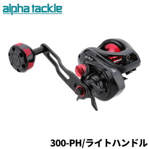 GCebN D[ At@^bN fB[m^R 300-PH/R Cgnh