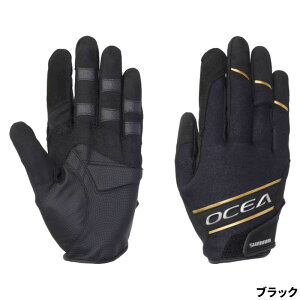 V}m hEFA 05 IVA ^C^j[EAt@ O[u XL ubN GL-010Xy䂤pPbgz