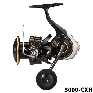 _C XsjO[ JfBA SW 5000-CXH 23Nǉf