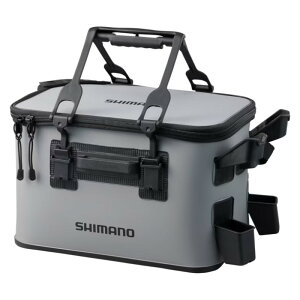 V}m bhXg ^bNobO BK-021W O[ 27L (Xg2/n[h^Cv)