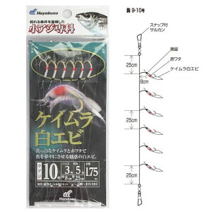 AW PCGr HS202 j10|nX3y䂤pPbgz