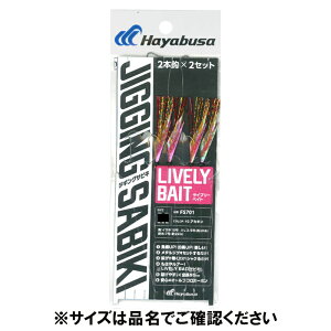 hWMOTrL EX Cu[xCg 2{b2Zbg L AJL FS701y䂤pPbgz