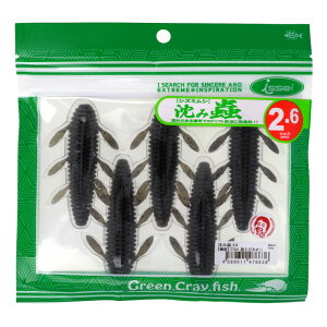 issei [  2.6C` TS01 уlIy䂤pPbgz