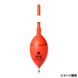 キザクラ 潮見 (カゴウキ) 10号