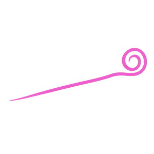 t@P R ^CoXyAJ[[e[ sNy䂤pPbgz