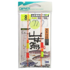 I[i[ RHd| R-600 j8-nX0.6y䂤pPbgz