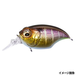 KoX A[ SR-X OtH DD My䂤pPbgz