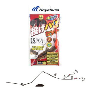 CgVbg n[Zbg V 2{b HA313 j7|nX1D2