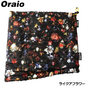 hEFA Oraio(ICI) t[XlbNEH[}[ t[ CNAt[ (h)