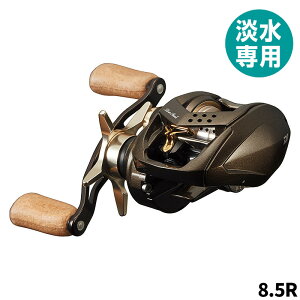 _C xCg[ Vo[N[N GA TW Xg[JX^ 8.5R E [22Nf]