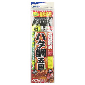 I[i[ n^ܖړ No.36208 j6-nX6y䂤pPbgz