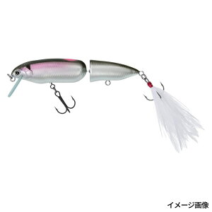 _C A[ XeB[Y N| 81F TCgʃJTM