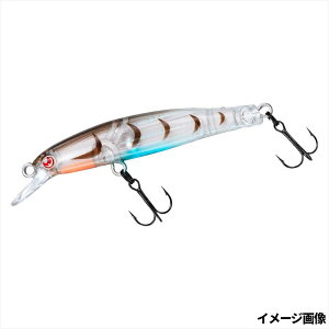 _C A[ l ӂ 55S Gry䂤pPbgz