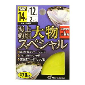 Cޖx t 啨XyV IS602 j14|nX12y䂤pPbgz
