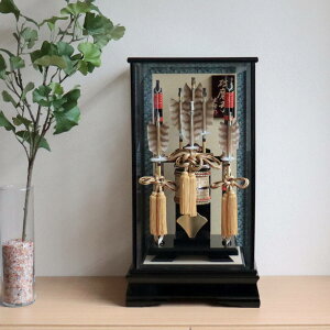 {ōj| {H W 13 󏭖{Hj| h{    { ɏ㍕hʎKXP[X VR{H@RpNg i` 