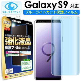 【 ブルーライトカット 2枚セット】 Galaxy S9 ( au SCV38 / docomo SC-02K ) 保護フィルム galaxys9 s 9 ギャラクシー ギャラクシーs9 ブルーライト カット TPU 液晶 保護 フィルム アクセサリー 画面保護 液晶保護 送料無料 シート 画面 カバー
