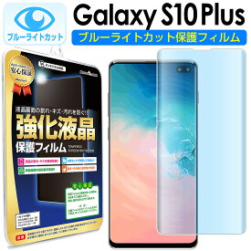 【 ブルーライトカット 2枚セット】 Galaxy S10+ plus ( SC-04L SCV42 SC-05L ) 対応 保護フィルム GalaxyS10 GalaxyS10plus ＋ プラス S 10 ギャラクシー s10 ブルーライト カット TPU 液晶 保護 フィルム アクセサリー 送料無料 シート 画面 カバー