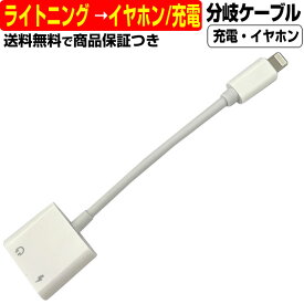 楽天市場 Iphone 変換 イヤホン Pcの通販 楽天市場 Iphone 変換 イヤホン Pcの通販