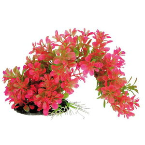 eg tLVuvg FP-3 1lH lH  Ȃ Ȃ tLVu