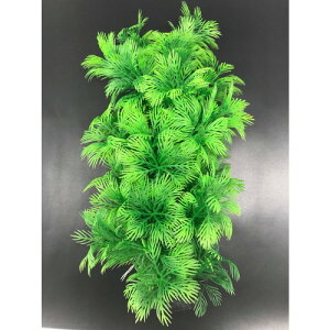 eg tLVuvg FP-4 1lH lH  Ȃ Ȃ tLVu