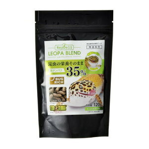 Ipuht[h 120gWFbNX GEX H ঒ t[h a   hCybg hC ybg ^pN nD