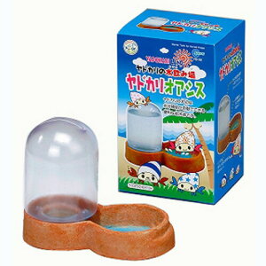 hJIAVX 200mL 1}J MG MARUKAN hJ   ⋋  