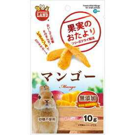 果実のおたより マンゴー 10gマルカン MG MARUKAN うさぎ モルモット ハムスター リス チンチラ 小動物 おやつ マンゴー