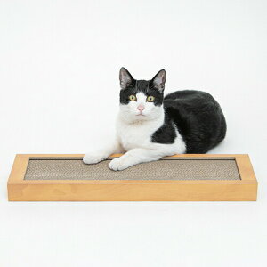 HappyDays S~oɂ߂ƂVO ybgv nbs[fCY L lR _{[ ܂Ƃ ߂Ƃ ܖ ߂݂