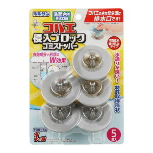 bN oT RoGNubN S~Xgbp[ ʑp 5ʑ r S~ h